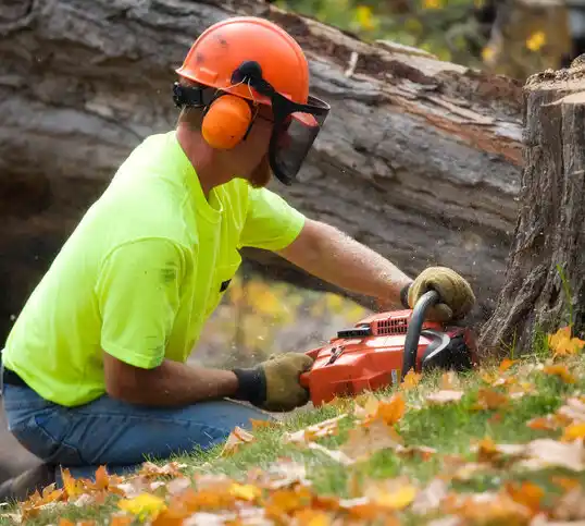 tree services South Nyack